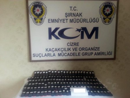 Cizre’de tarihi eser operasyonu