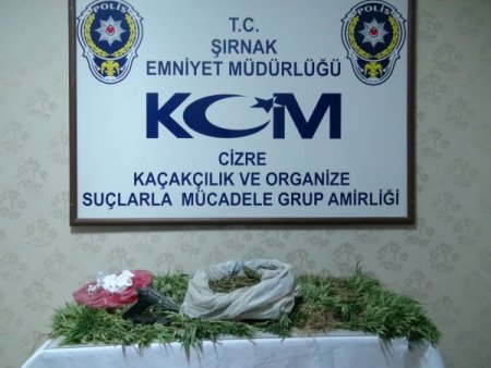 Cizre’de Uyuşturucu Operasyonu
