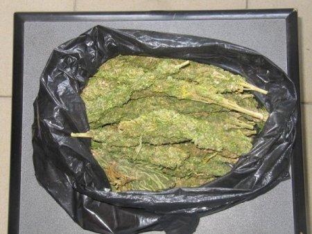 Cizre'de Uyuşturucu Operasyonu: Gözaltına Alınan 37 Kişiden 15’i Tutuklandı