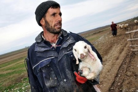 Çobanlar sosyal güvenceye kavuşuyor