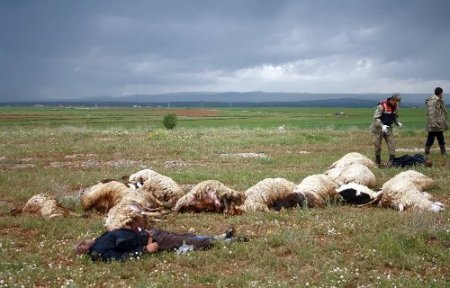 Çobanların üzerine yıldırım düştü: 2 ölü, 2 yaralı