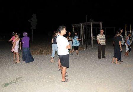 Çocuk Parkına Giren Domuzları Site Sakini Vurdu