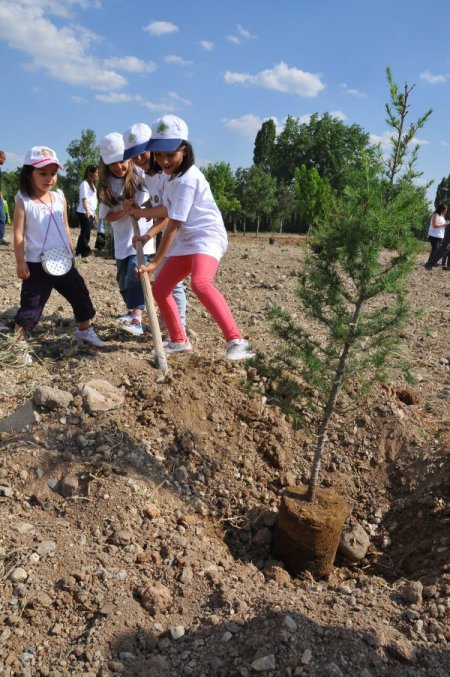 Çocuk Tarım Kampı'na Katılan Öğrenciler Sertifikalarını Aldı