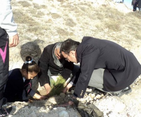 Çocuk yuvası ve sevgi evleri sakinleri, 2 bin fidanı toprakla buluşturdu