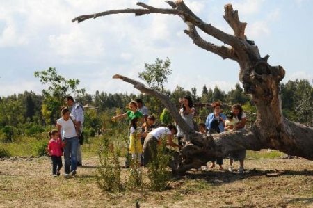Çocuklar, Hayvanları Beslemenin Mutluluğunu Yaşadı