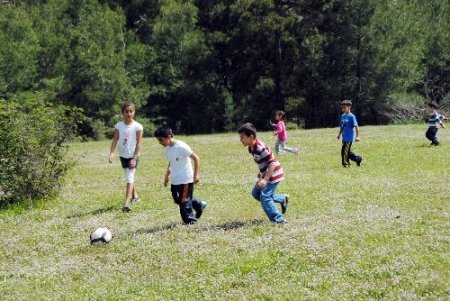 Çocuklar, ormanları ve yeşili korumayı oyun oynayarak öğreniyor