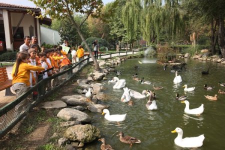 Çocuklara hayvan sevgisi aşılanıyor