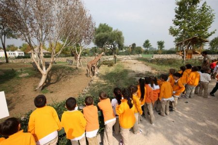 Çocuklara hayvan sevgisi aşılanıyor