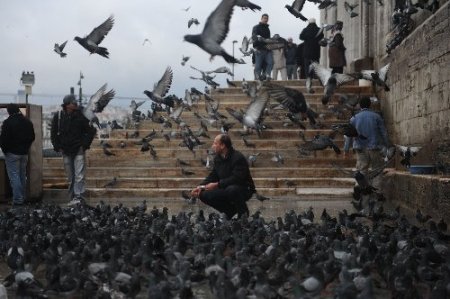 Çocuklara oyun, yaşlılara uçup giden ömrü hatırlatır güvercinler (Özel)