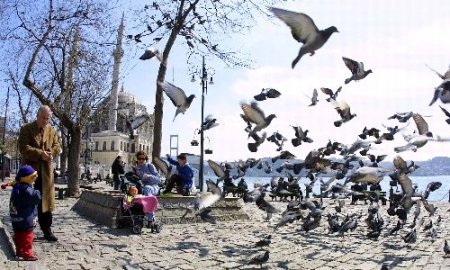 Çocuklara oyun, yaşlılara uçup giden ömrü hatırlatır güvercinler (Özel)