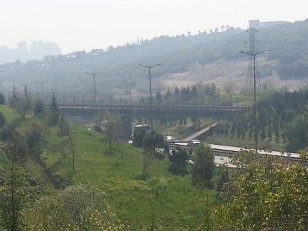 Çocukların otoyola attığı taş, isabet ettiği araçtaki yolcuyu öldürdü