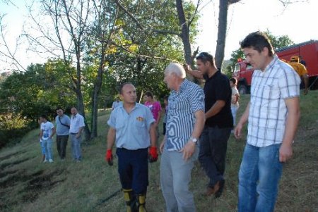 Çocukların Torpili Ormanlık Alanı Yakıyordu