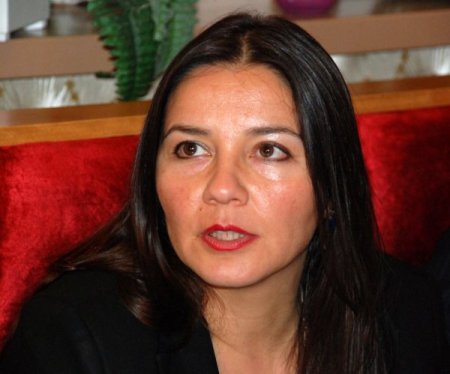 Çok kültürlü fuara Hollanda'daki büyükelçilerden büyük ilgi