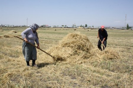 Çöl Sıcakları, Ramazan'da En Çok Çiftçileri Etkiliyor