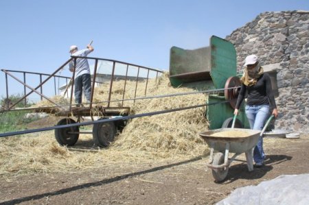 Çöl Sıcakları, Ramazan'da En Çok Çiftçileri Etkiliyor