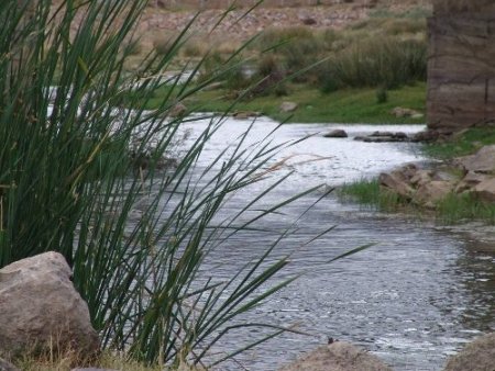 ÇOMÜ sularda hangi canlının hangi canlıyı yediğini araştırıyor