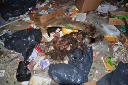 Çöp Alanında Onlarca Köpek Ölüsü Bulundu