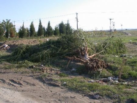 Çorlu'da Aşırı Yağışa Dayanamayan Yol Çöktü, Rüzgar Ağaçları Kökünden Söktü