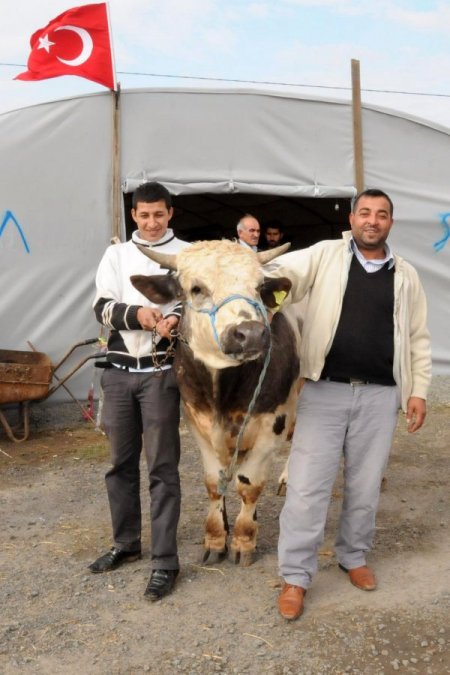 Çorlu’da Kurbanlık Canlı Hayvan Pazarı Kuruldu