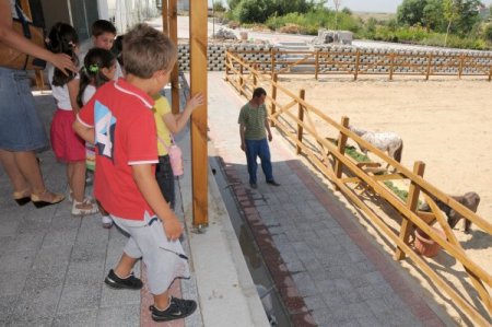Çorlulu Çocukların Gözdesi Mini Hayvanat Bahçesi