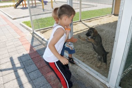 Çorlulu Çocukların Gözdesi Mini Hayvanat Bahçesi
