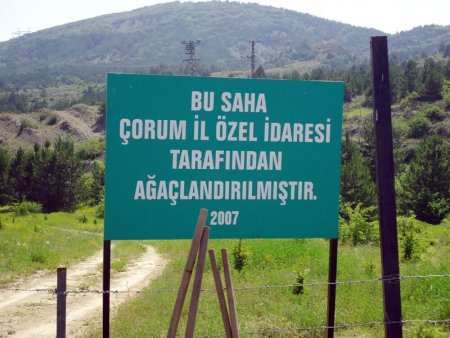 Çorum İl Özel İdaresi, 177 bin fidanı toprakla buluşturdu