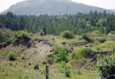 Çorum İl Özel İdaresi, 177 bin fidanı toprakla buluşturdu