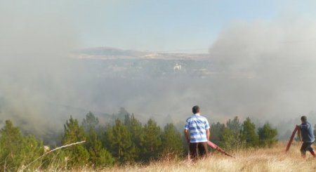 Çorum'da 20 Dönümlük Karaçam Ormanı Yandı