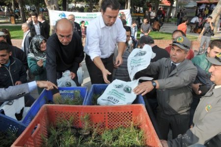 Çorum'da bayrama özel fidan dağıtıldı