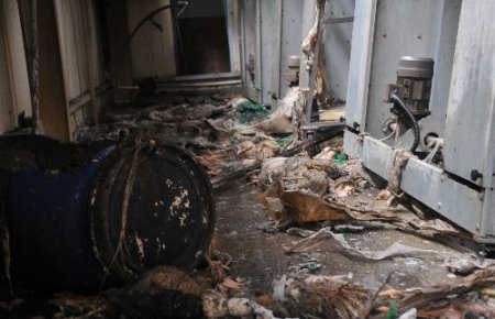 Çorum'da çiftlik yangını: 80 bin tavuk telef oldu