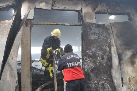 Çorum'da çiftlik yangını: 80 bin tavuk telef oldu