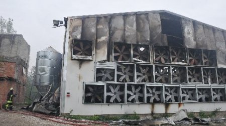 Çorum'da çiftlik yangını: 80 bin tavuk telef oldu