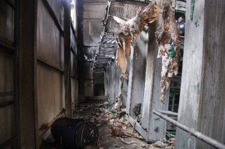 Çorum'da çiftlik yangını: 80 bin tavuk telef oldu