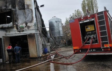 Çorum'da çiftlik yangını: 80 bin tavuk telef oldu