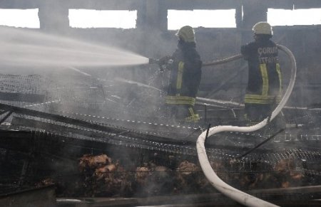Çorum'da çiftlik yangını: 80 bin tavuk telef oldu