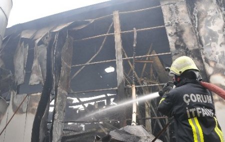 Çorum'da çiftlik yangını: 80 bin tavuk telef oldu