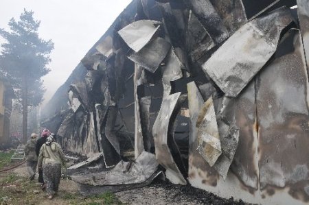 Çorum'da çiftlik yangını: 80 bin tavuk telef oldu