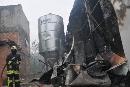 Çorum'da çiftlik yangını: 80 bin tavuk telef oldu