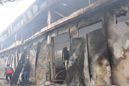 Çorum'da çiftlik yangını: 80 bin tavuk telef oldu