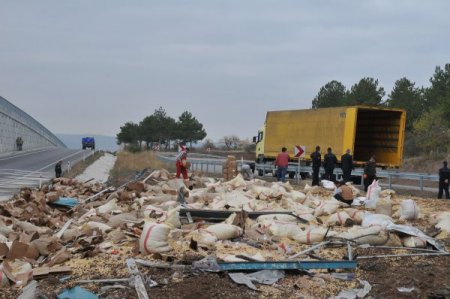 Çorum'da fındık taşıyan TIR kaza yaptı, baba ve oğlu öldü