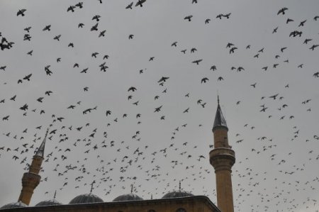 Çorum'da kar yağışı etkili oluyor