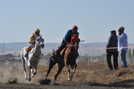 Çorum'da 'Kırkgöz Çayırı Geleneksel At Yarışları' yapıldı