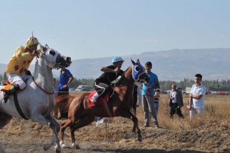 Çorum'da 'Kırkgöz Çayırı Geleneksel At Yarışları' yapıldı