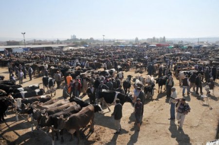 Çorum'da kurban pazarı hareketlendi