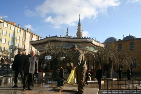 Çorum'da kuşlar için çeşitli yerlere yem koyuldu
