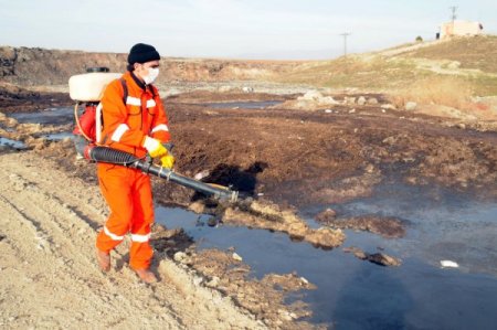 Çorum'da sinekle mücadele erken başladı