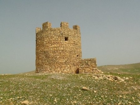 Çözüm sürecinde askerin çekildiği mevzilerde artık hayvan otlatılıyor