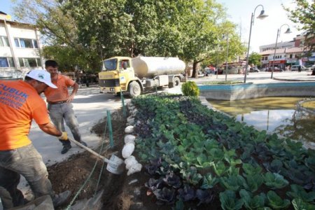 Çubuk, çiçeklerle süsleniyor