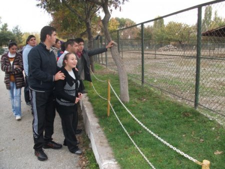 Çubuk Aile Yaşam Merkezi üyesi engelliler hayvanat bahçesini gezdi