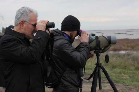 Çukurova Deltası’nda kış ortası su kuşu sayımı yapılıyor